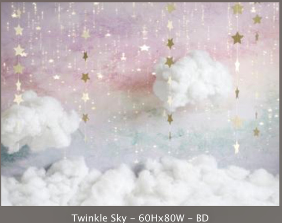 Twinkle Skau 60"x80"