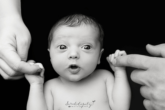 Wide awake newborn baby boy holding mommy & daddy's fingers in a black & white portrait taken in an NJ photo studio.